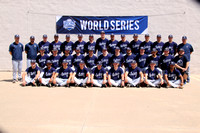 2024 Baseball World Series